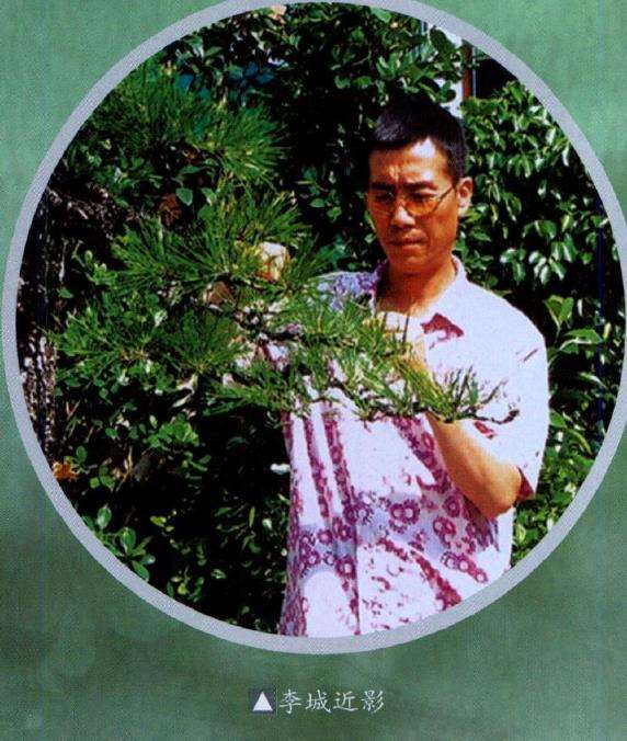 武汉汉阳山茅草堂盆景园 图片