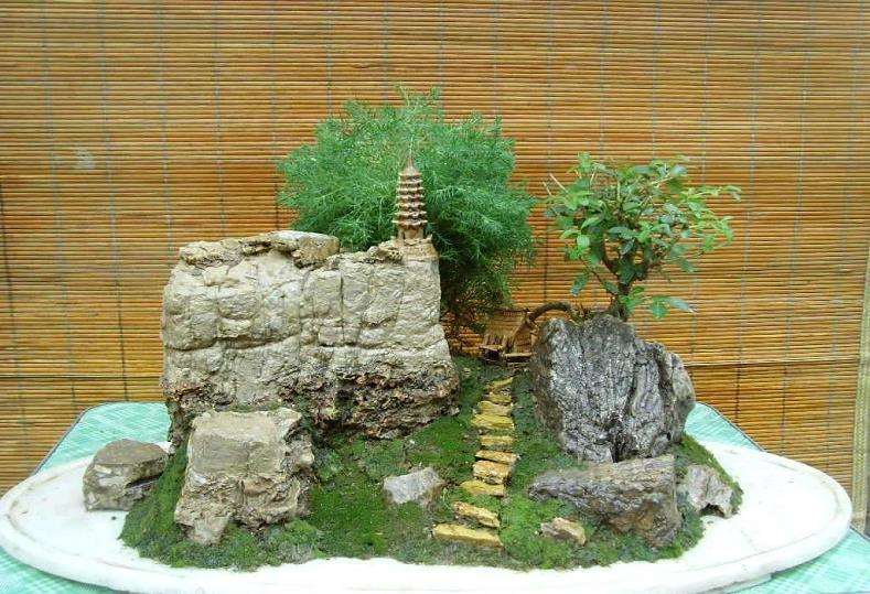 树石盆景与水旱盆景有什么关系