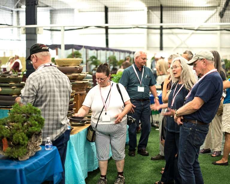 纽约第7届美国国家盆景展