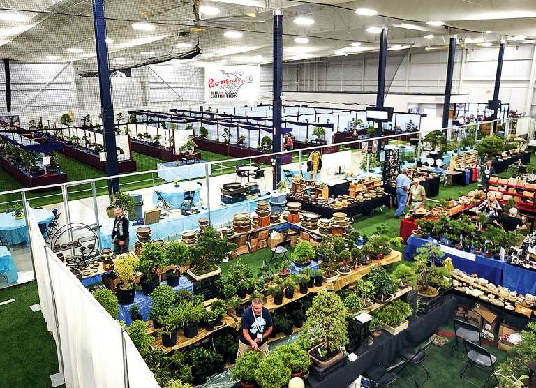 纽约第7届美国国家盆景展