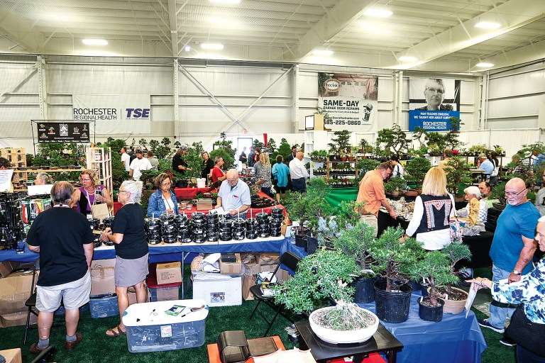 纽约第7届美国国家盆景展