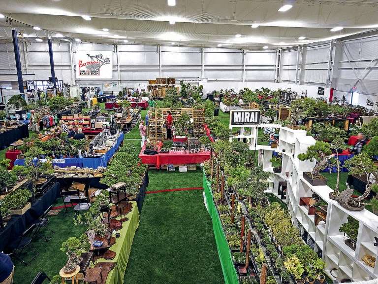 纽约第7届美国国家盆景展