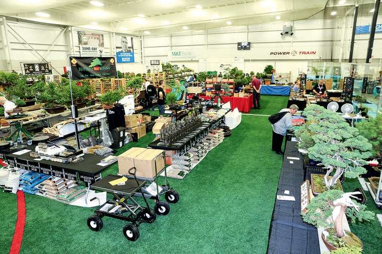 纽约第7届美国国家盆景展