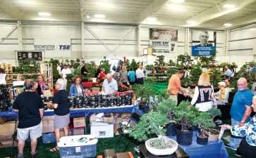 2021年 纽约第7届美国国家盆景展