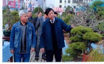 纪念盆景曹禺大师诞辰100周年