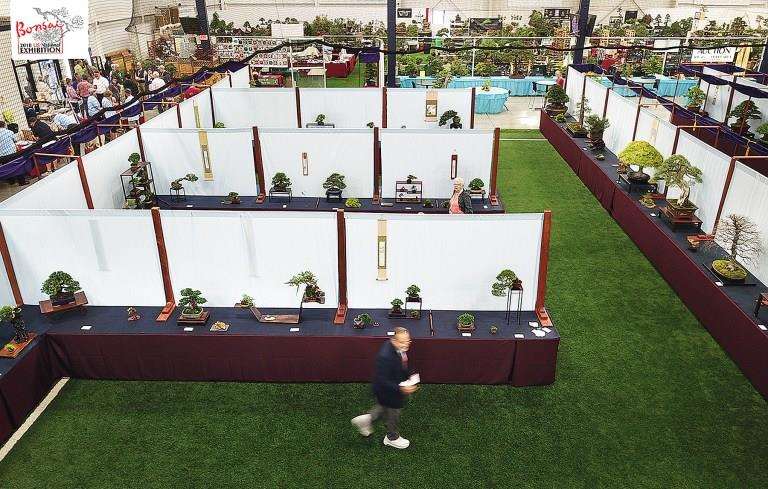 第七届美国国家盆景展