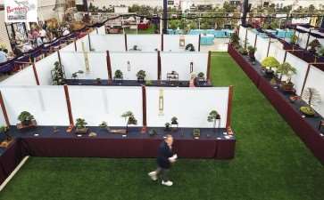 2021年第七届美国国家盆景展