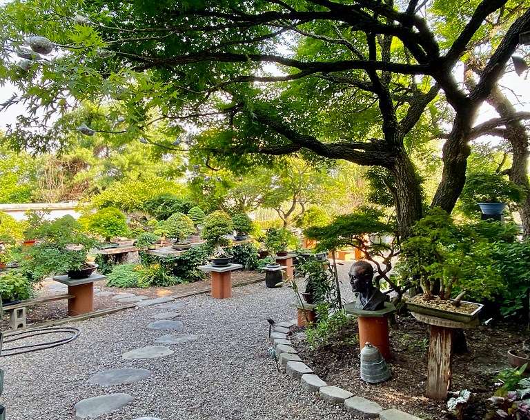 第七届美国全国盆景展