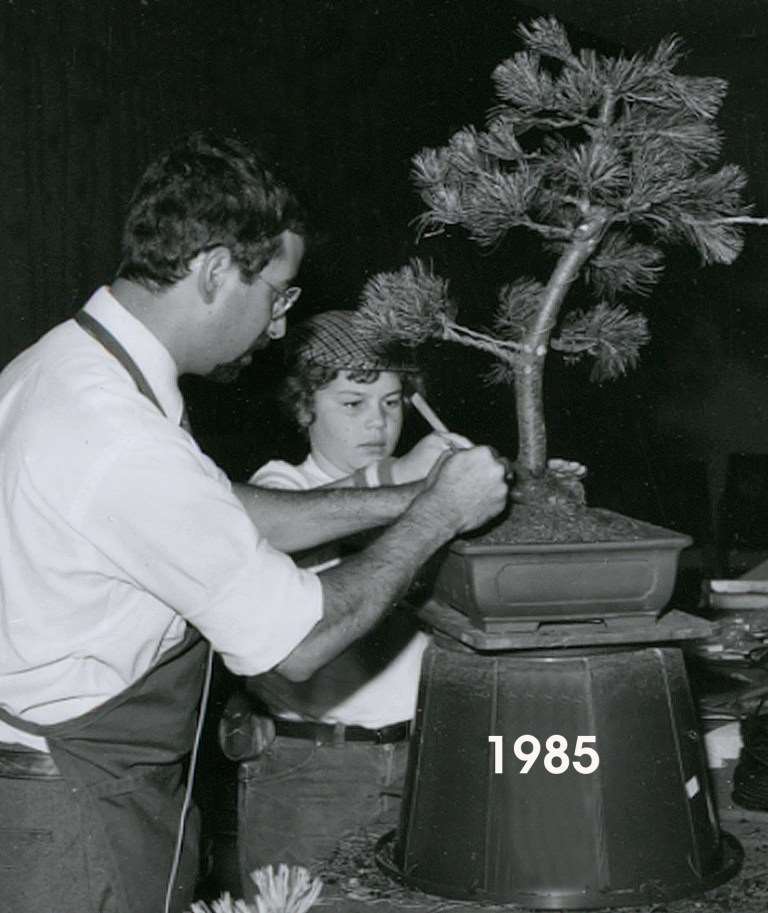 英国格林伍德花园盆景工作室