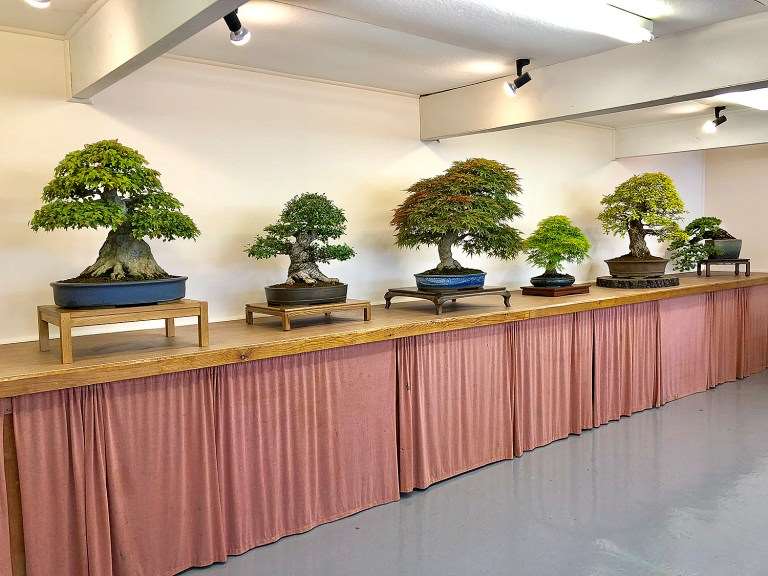 英国格林伍德花园盆景工作室