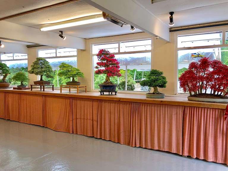 英国格林伍德花园盆景工作室