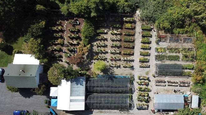 2020年秋季 美国国家盆景展