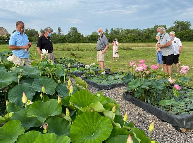 纽约盆景协会都会举办花园之旅