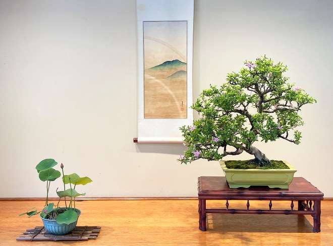 纽约盆景协会都会举办花园之旅