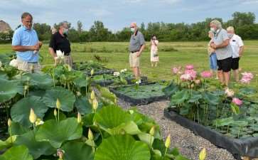 纽约盆景协会都会举办花园之旅