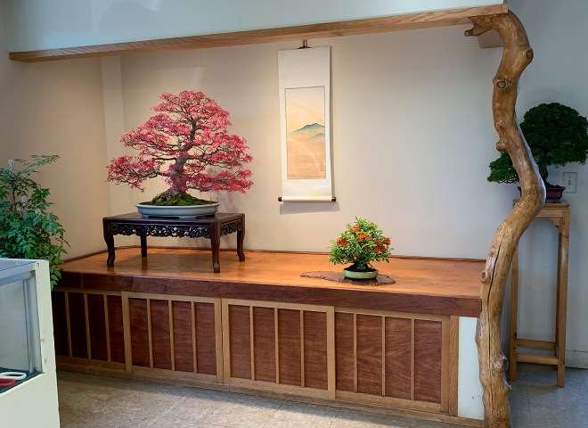 2020年开放日 销售盆景展示和示范