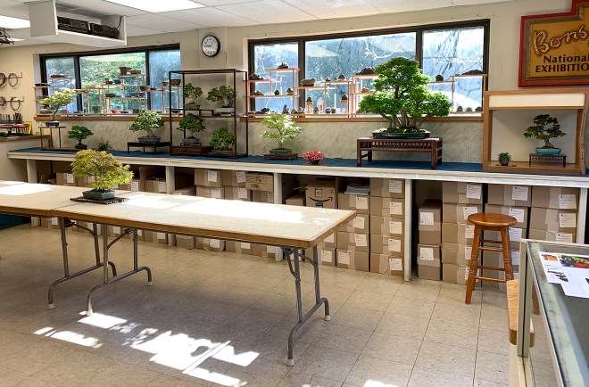 2020年开放日 销售盆景展示和示范