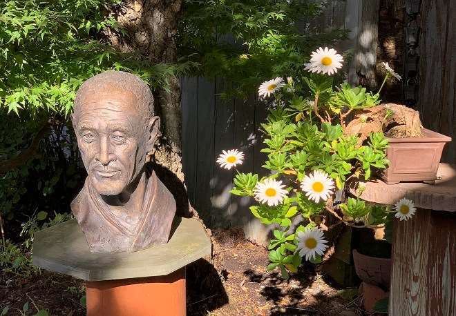 菊花是秋季展示的绝佳色彩缤纷的盆景