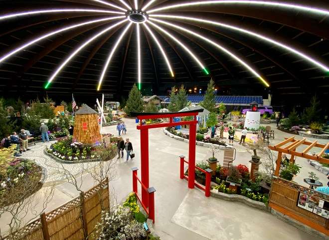 2020年纽约罗彻斯特盆景展 图片