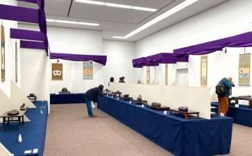 2020年 第七届日本水石盆景展 图片