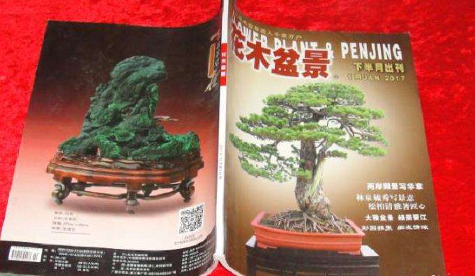 《花木盆景》赏石版