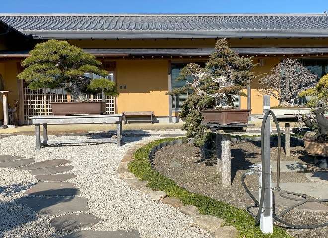 2020年 参观日本大正园盆景园