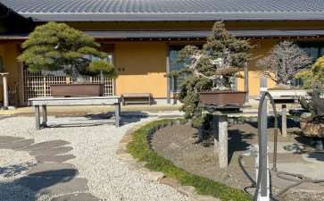 2020年 参观日本大正园盆景园 图片