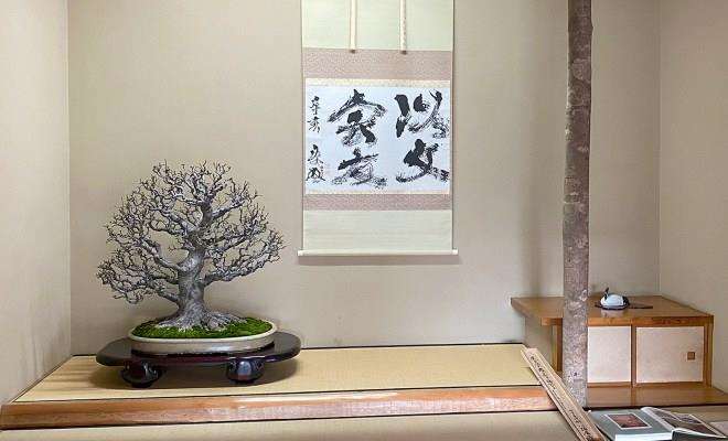 参观东京春华园盆景博物馆