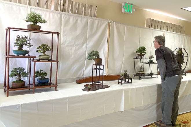 2020年加州小品盆景研讨会