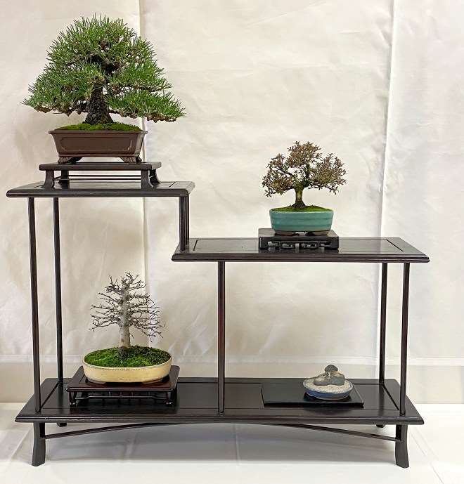 2020年加州小品盆景研讨会