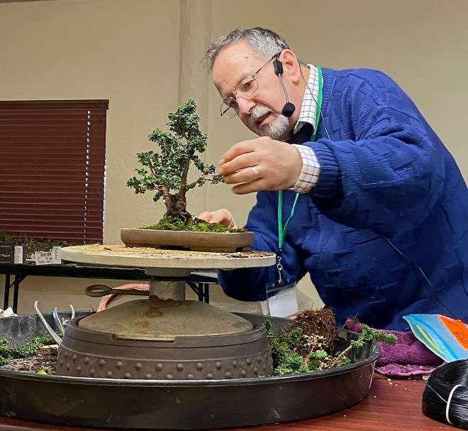 2020年加州小品盆景研讨会