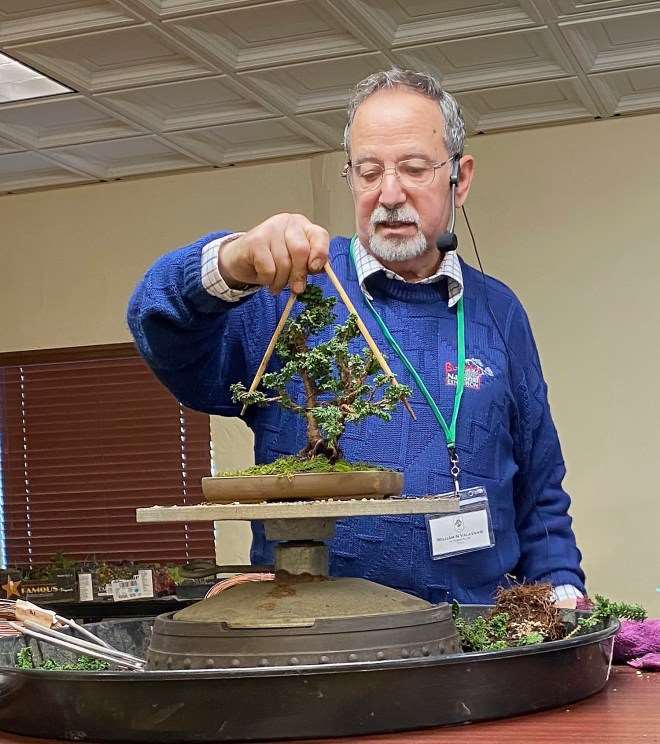 2020年加州小品盆景研讨会