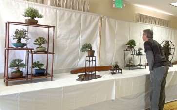 2020年加州小品盆景研讨会 图片