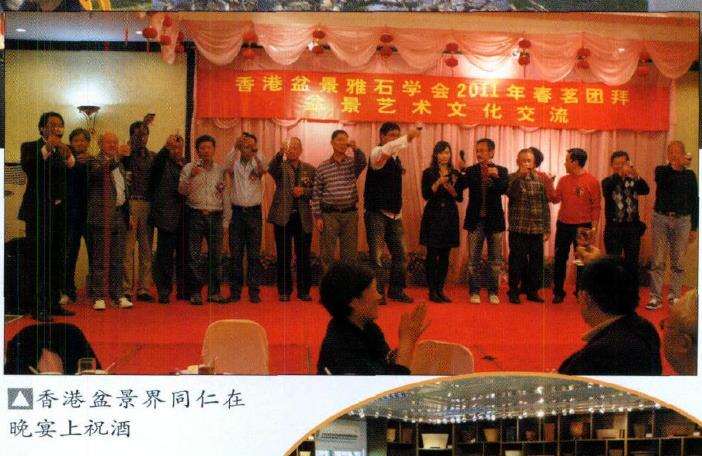 香港盆景雅石学会邀请会