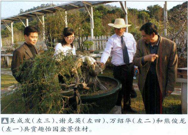 香港盆景雅石学会邀请会