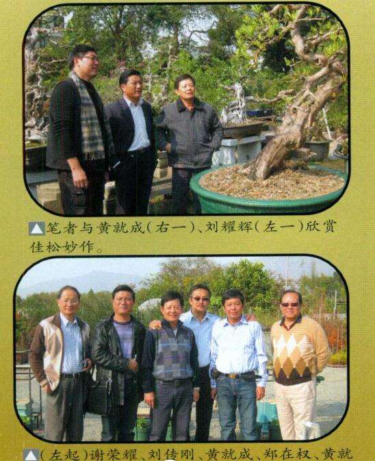 香港岭南盆景第二届代表大会