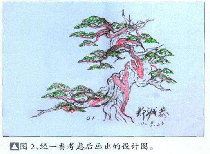 图解 真柏盆景扁化树干怎么舍利雕刻