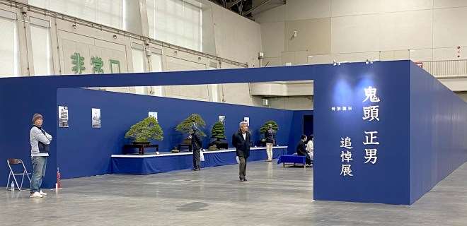 访问日本鬼头正男的盆景展览