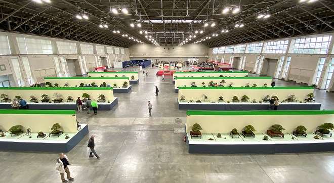 日本名古屋盆景展