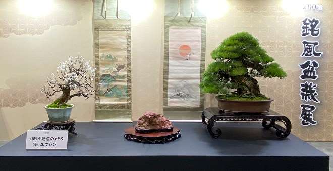 日本名古屋盆景展