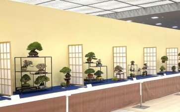 2020年第45届嘎府小品盆景展 第2部分