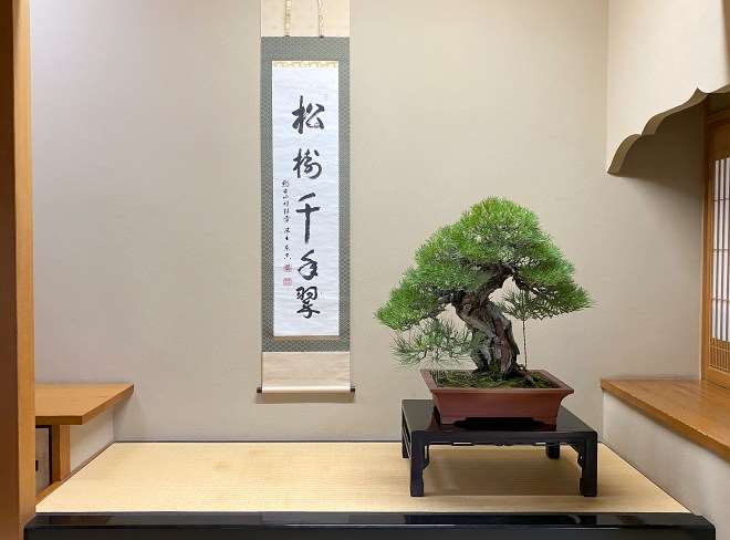 日本春华园盆景博物馆和大正盆景园 图片