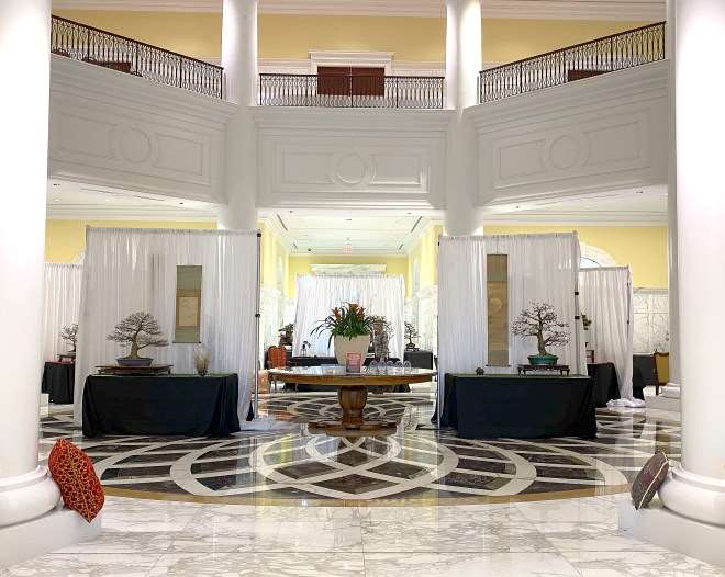 第七届冬季剪影盆景博览会