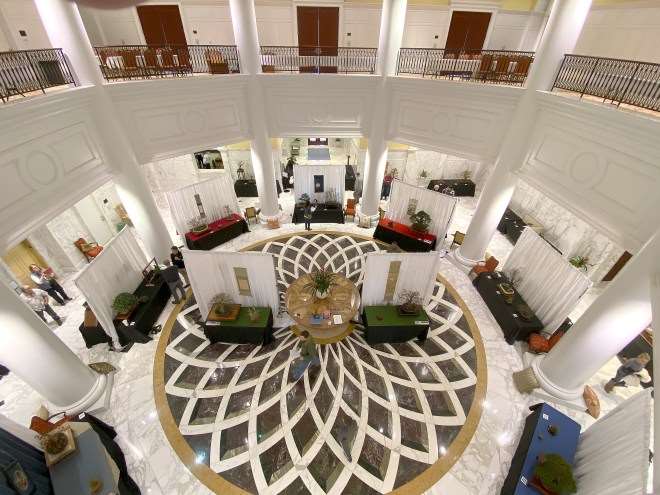 第七届冬季剪影盆景博览会