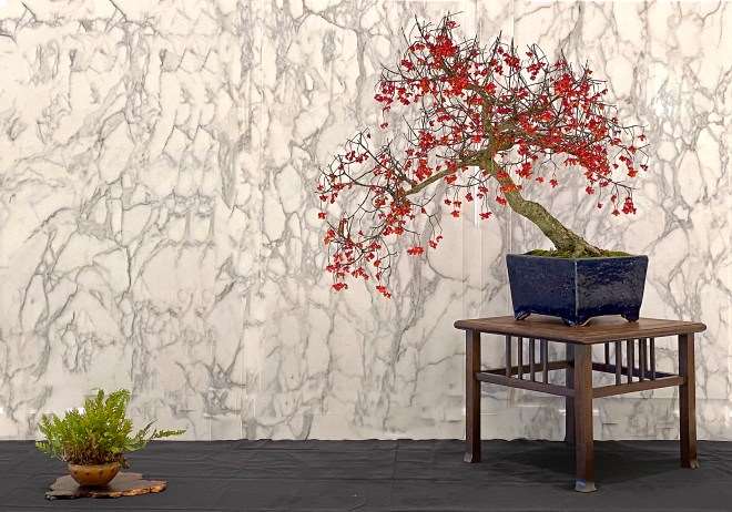 第七届冬季剪影盆景博览会