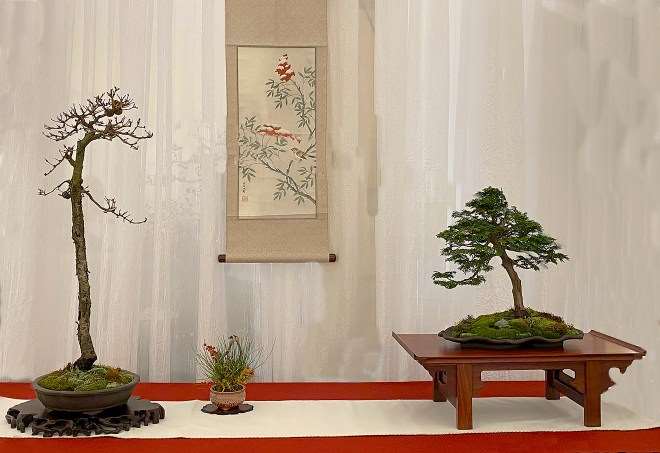 第七届冬季剪影盆景博览会