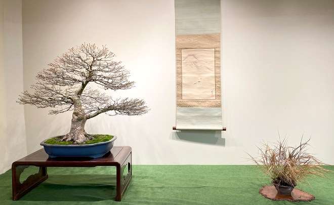 为冬季剪影盆景博览会设计展示的方法