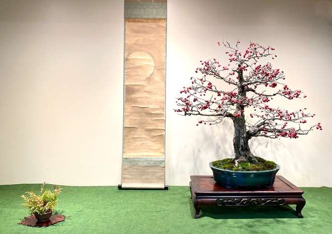 为冬季剪影盆景博览会设计展示的方法