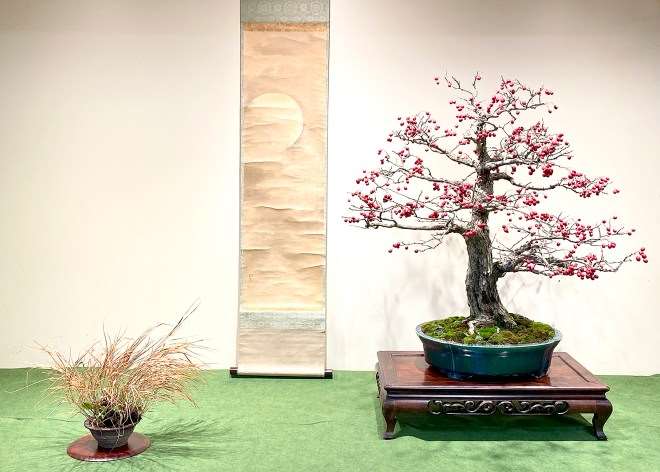 为冬季剪影盆景博览会设计展示的方法