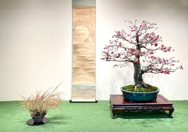 为冬季剪影盆景博览会设计展示的方法